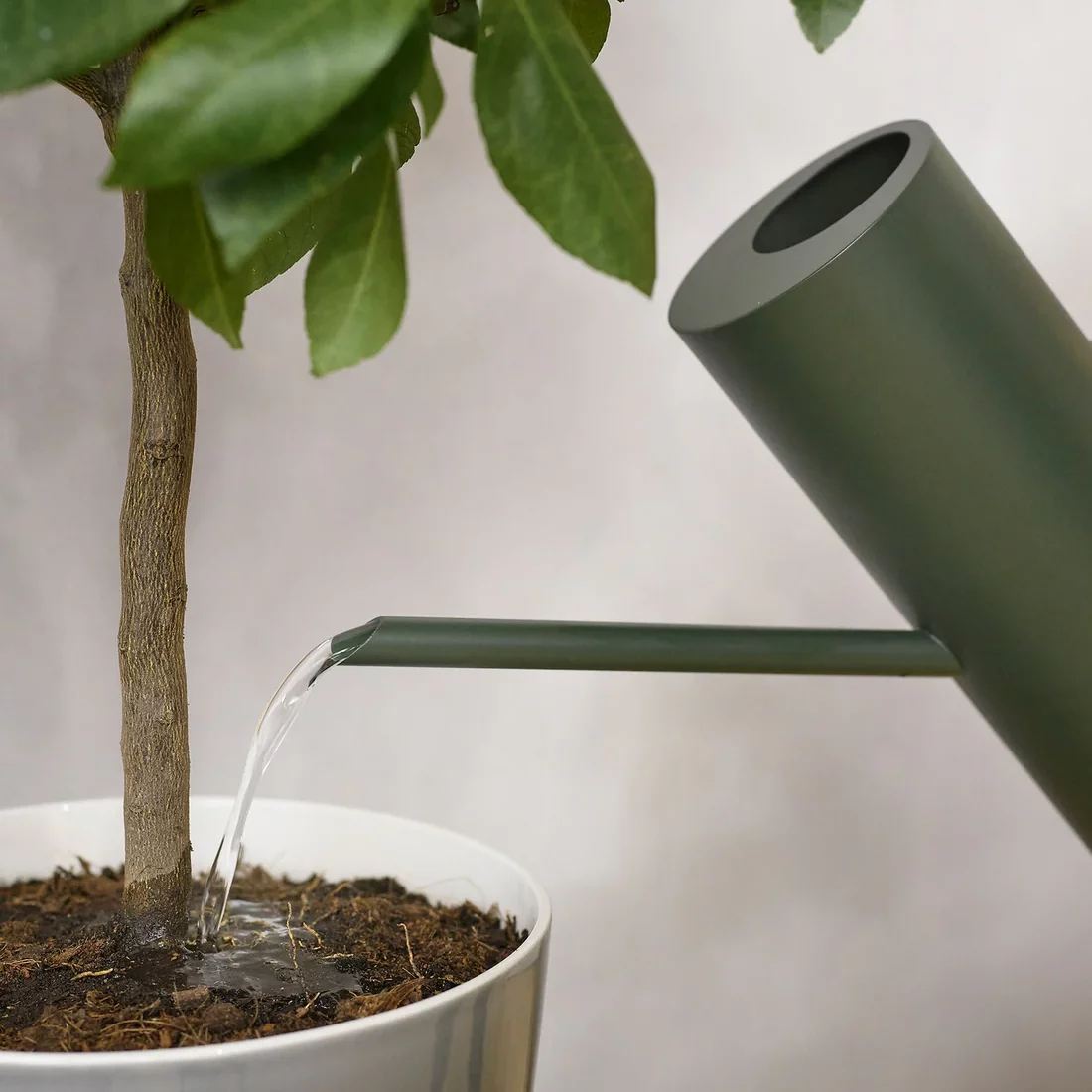 Bloom Giesskanne Stelton dunkelgrün